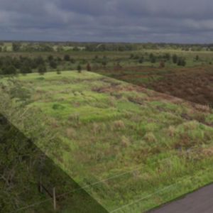 Bark Doll Rd LOT 13, Bowling Green, FL, 33834
