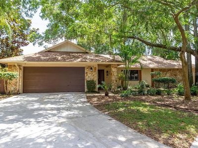 12909 Lazy Pine Pl, Tampa, FL, 33624