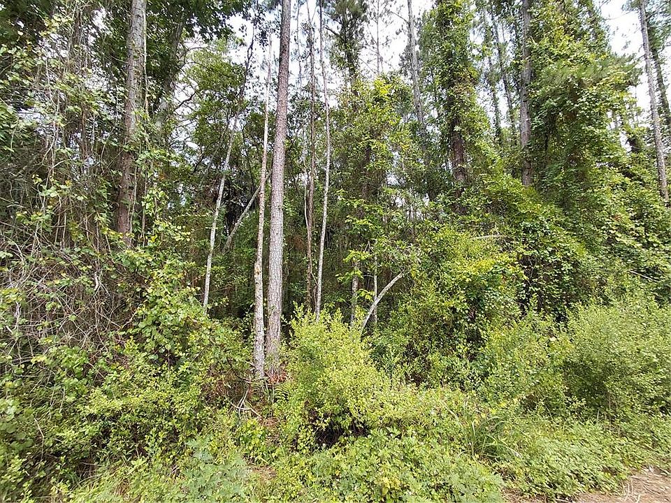 2nd image of James St Lot 32