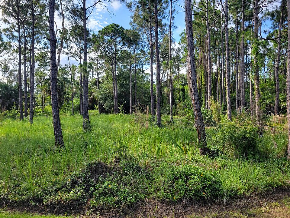2nd image of 00 Shanas Trail