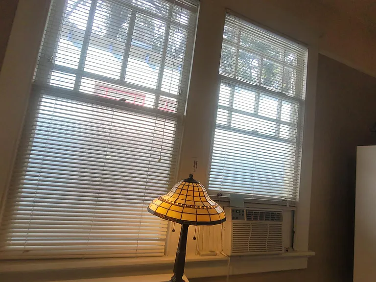 Testing out the apartment in the rare time unoccupied between tenants, Landlady found it delightful to wake to the overhanging live oak tree and often the sound of birds. Translucent plastic attached to bottom half of windows in bedroom assures privacy wh