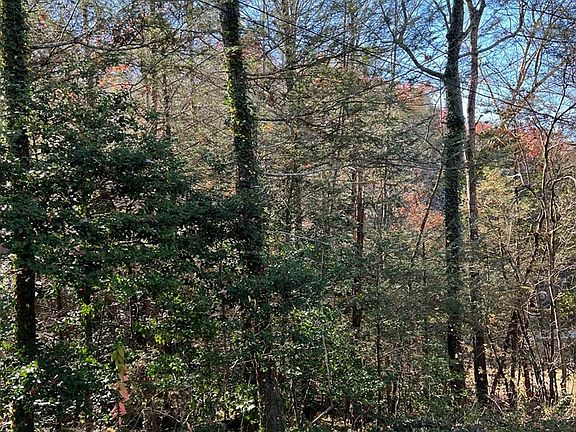 2nd image of 4 Reba Ln Lot 4