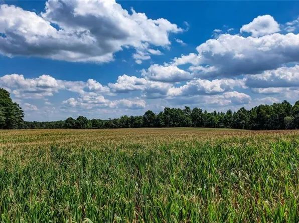 6300 Lineberry Rd, Liberty, NC 27298