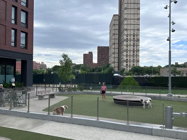 550 Vanderbilt Avenue image 30 of 30