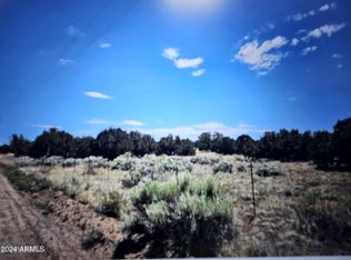 3978 Ramsay Rd #17, Snowflake, AZ 85937