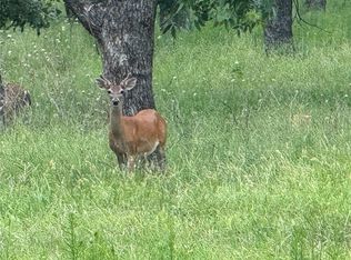 3140 E Landings Rd S, Granbury, TX 76049