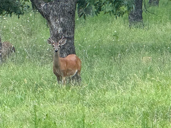 3140 E Landings Rd S, Granbury, TX 76049