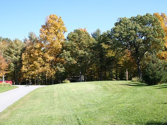 Side yard view