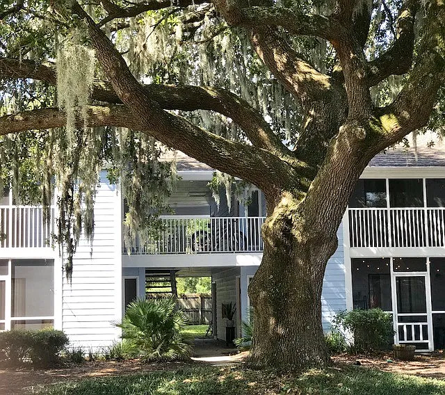 1054 Anna Knapp Blvd — Photo 19