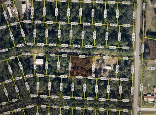 107 Grand Ave Lot 10, Crescent City, FL 32112