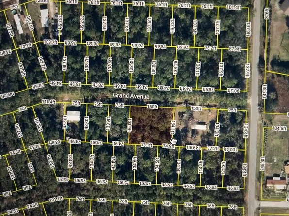 107 Grand Ave Lot 10, Crescent City, FL 32112