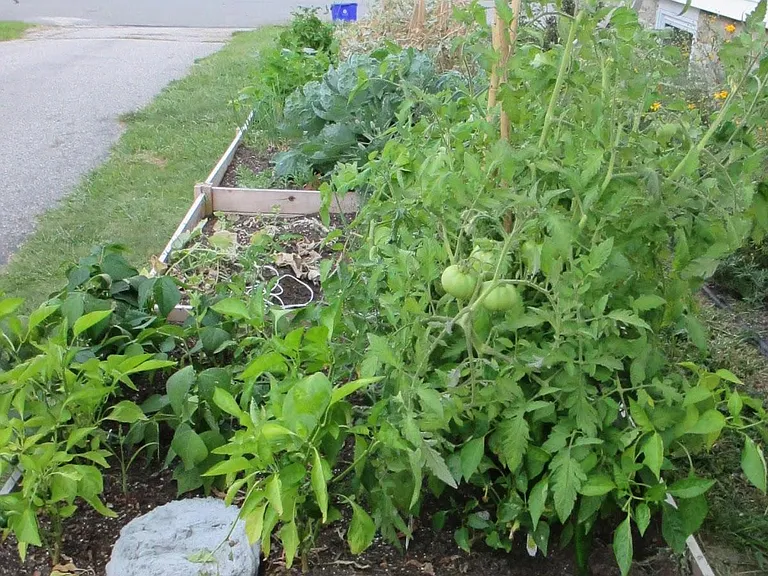 Dedicated garden box for each unit