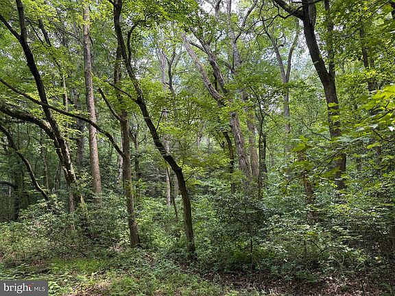 4th image of Trunk Line Rd