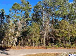 1410 Willtown Rd, Kingstree, SC 29556