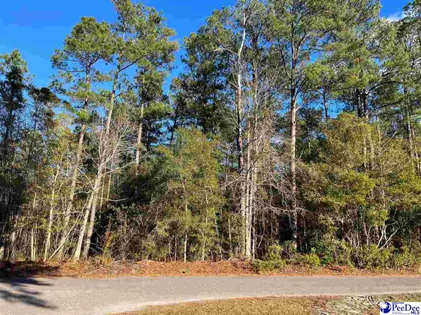 1410 Willtown Rd, Kingstree, SC 29556