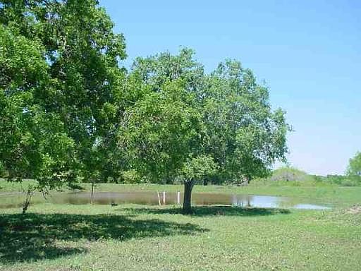 2nd image of 50-ACRES CR 307