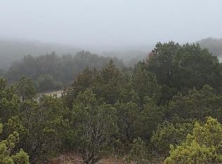 525 Blue Ct, Bluff Dale, TX 76433