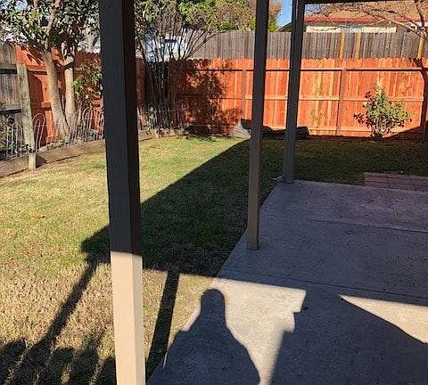 Back yard