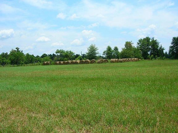 2nd image of 6054 County Road 214