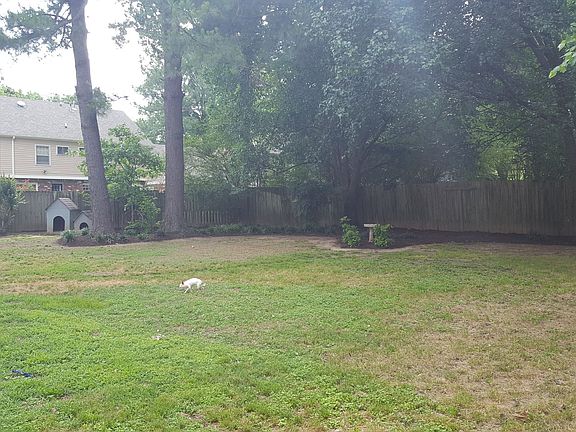 Backyard view 1