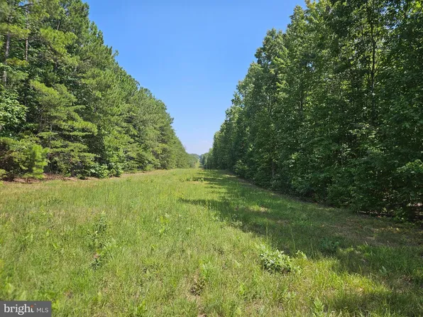 W James Anderson Hwy, Gladstone, VA 24553