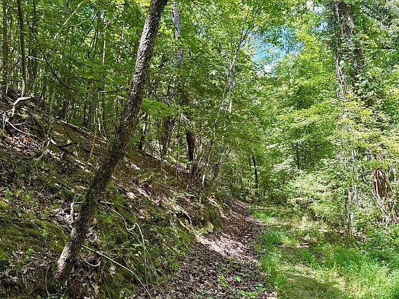 3rd image of 0 Oakdale Rd #1