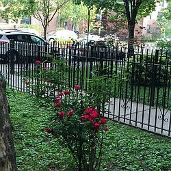 Rented by EXP Realty NYC