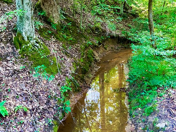 3rd image of 0 Copper Springs Rd