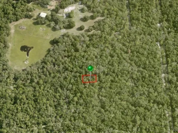 3966 S Heron Way, Inverness, FL 34450