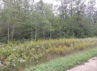 Shadyshore Pkwy, Elmira, MI 49730