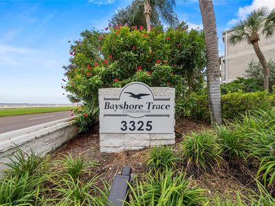 3325 Bayshore Blvd Unit C11, Tampa, FL, 33629