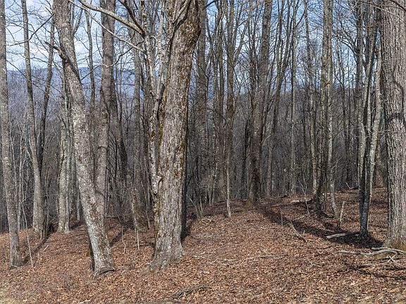 5th image of C46 Roaming Road