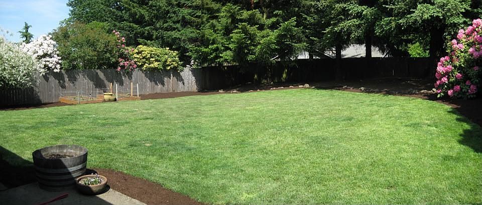 Backyard From House
