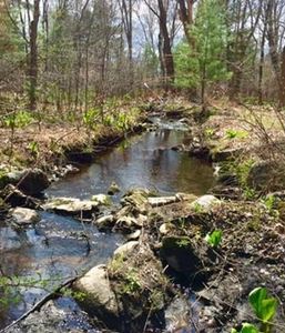 86 Dudley Rd, Billerica, MA, 01821