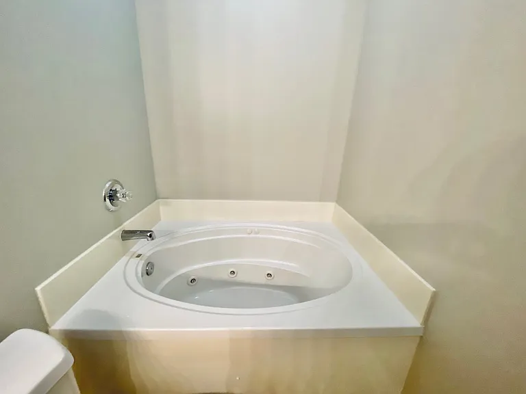 Master bathroom tub_04022022