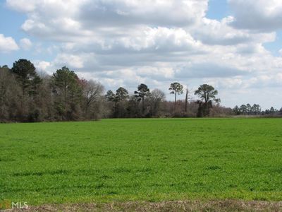 0 Buckhead Rd, Baxley, GA, 31513
