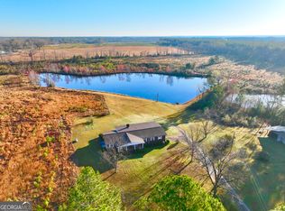 651 Yancey Rd, Rhine, GA 31077