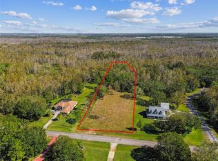 Shenadoah Run LOT 1, Wesley Chapel, FL 33544