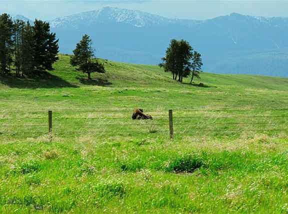 3rd image of Tbd Moose Dr