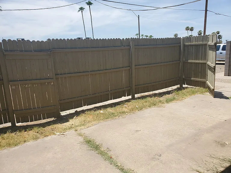 back yard