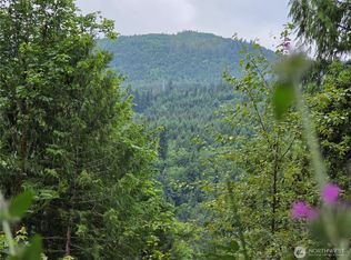 421 Arabian Dr, Brinnon, WA 98320