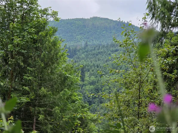 421 Arabian Dr, Brinnon, WA 98320