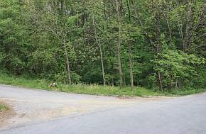 2nd image of 0 Redstone Dr