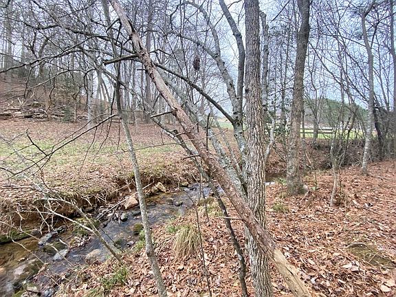 5th image of 21 Broadleaf Ln
