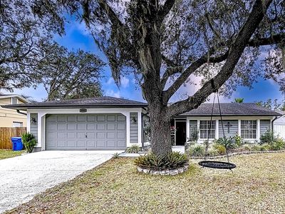 3004 Rosebud Ln, Brandon, FL, 33511