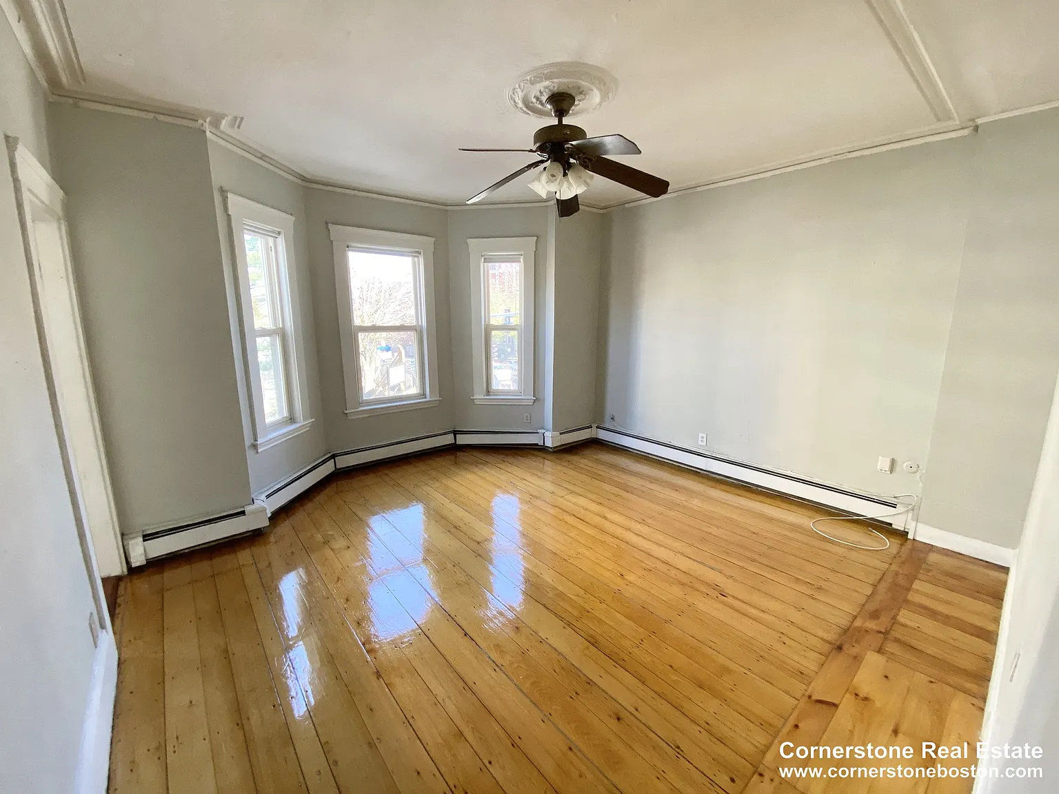 3 bed, 1.0 bath, $3,750 — Photo 4
