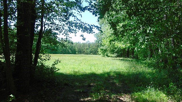 1st image of James D Hagood Hwy