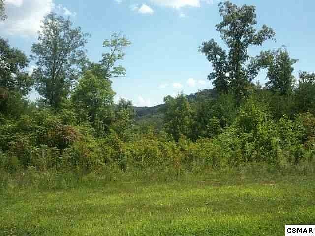 1st image of 18011 Arlington Ridge Way Lot 11