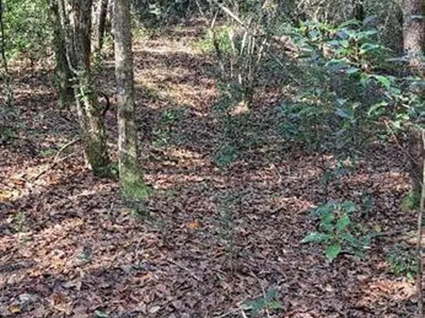 0 Dykes Rd, Eight Mile, AL 36613