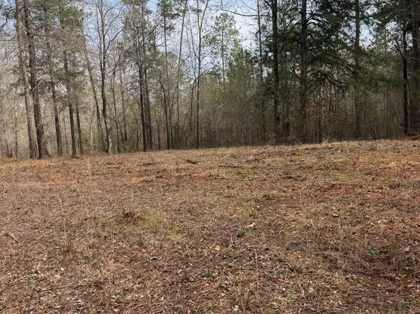 0 State Highway 87, Juliette, GA 31046